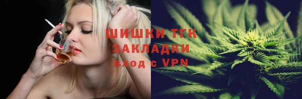 ECSTASY Бородино