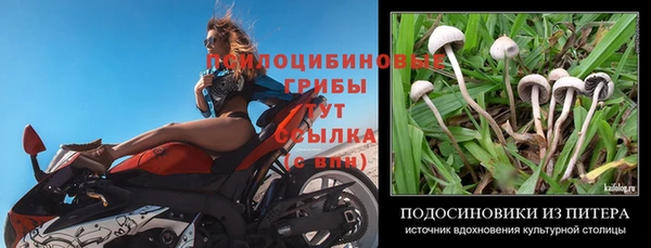 ECSTASY Бородино